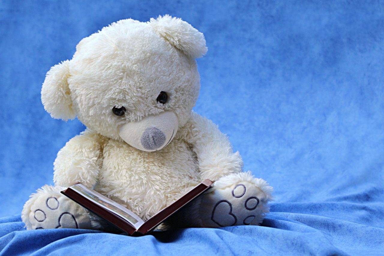 Teddy-reading-a-book-silver-bay-holiday-village-anglese-1280x853.jpg